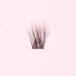 Starter kit - cils sans colle