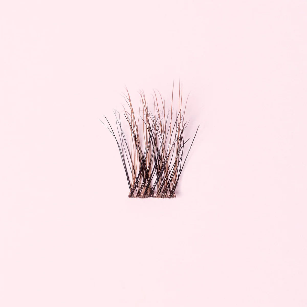 Starter kit - cils sans colle